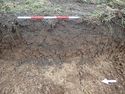 Thumbnail of Photo P2040028 Trench 55 representative section no board