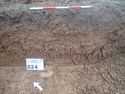 Thumbnail of Photo P2050031 Trench 24 representative section