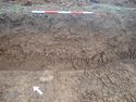 Thumbnail of Photo P2050032 Trench 24 representative section no board
