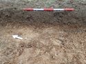 Thumbnail of Photo P2050048 Trench 35 representative section no board