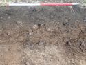 Thumbnail of Photo P2120138 Trench 51 representative section no board