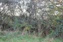 Thumbnail of W facing shot from viewpoint location O