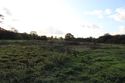 Thumbnail of W facing shot from viewpoint location S