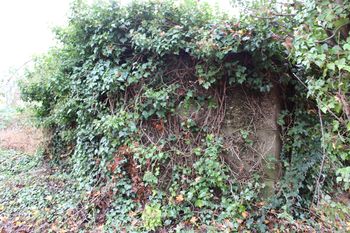 S facing shot of pillbox.