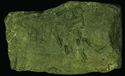 Thumbnail of Graffiti of a standard bearer on building stone, Binchester - ES04 Front