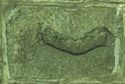 Thumbnail of Relief of a fish, Ebchester - ES15