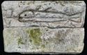 Thumbnail of Relief of Fish, Holmside - ES18 Front