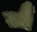 Thumbnail of Statue of a lion, Old Carlisle - ES51