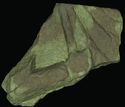 Thumbnail of Tombstone of a man, Brougham - ES53