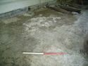 Thumbnail of Surface (506)