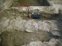 Thumbnail of S.610