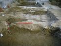 Thumbnail of Deposits exposed by grave [536]