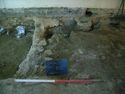 Thumbnail of Robber trench [599] and structure [601]
