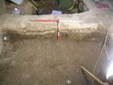 Thumbnail of Deposits exposed by grave [503]