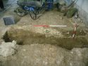 Thumbnail of Deposits exposed by grave [540]