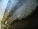 Thumbnail of S.621