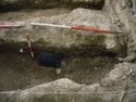Thumbnail of S.620
