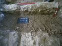 Thumbnail of S.628 [625]