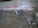 Thumbnail of S.629