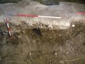 Thumbnail of S.629