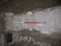 Thumbnail of [509] West partition