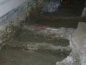 Thumbnail of [509] East portion