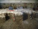 Thumbnail of S.629 Part 2 S-N