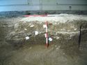 Thumbnail of S.629 Part 3 S-N