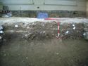 Thumbnail of S.629 Part 5