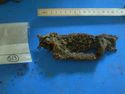 Thumbnail of Coffin furniture (523)