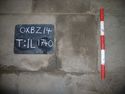 Thumbnail of T:IL 1740