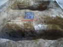 Thumbnail of S.635 [714]