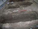 Thumbnail of S.638 [704]