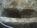 Thumbnail of S.644 [746]