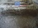 Thumbnail of S.652 [732]