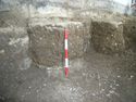 Thumbnail of Sections against W wall 1x0.5m cut by graves 706/716/718/720/724.