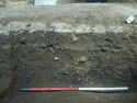 Thumbnail of S 666 P 5 1x1,