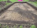 Thumbnail of Pre-ex looking S