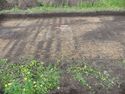 Thumbnail of Pre-ex mid trench looking W