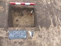 Thumbnail of Post-ex 2503/2504