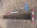 Thumbnail of Post-ex 2401/2402