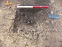 Thumbnail of N ring ditch facing N 2507