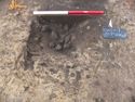 Thumbnail of N ring ditch facing N 2507