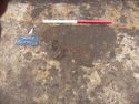 Thumbnail of Pit feature 2311 facing E