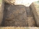 Thumbnail of Post ex habitation levels