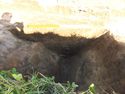 Thumbnail of Tr 5 Section of ditch