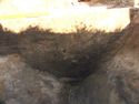 Thumbnail of Tr 5 Section of ditch
