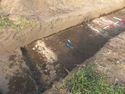 Thumbnail of Tr3 pre-excavation detail