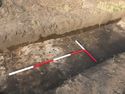 Thumbnail of Tr3 pre-excavation detail