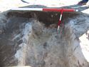 Thumbnail of Tr2 west facing section of shallow ditch [1251]